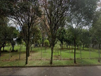 Comercial para Venda, em Rio Claro, bairro Distrito Industrial